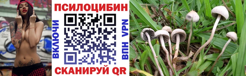 Галлюциногенные грибы мицелий Мосальск