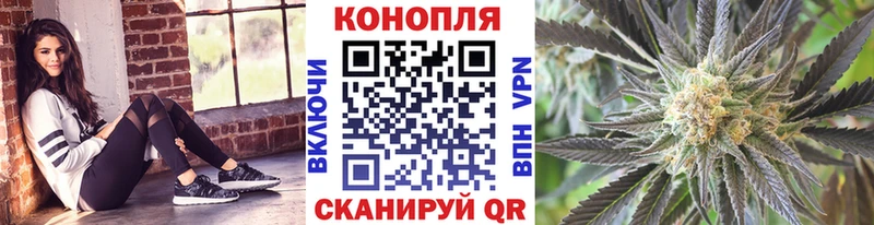 Конопля конопля  маркетплейс наркотические препараты  Мосальск 